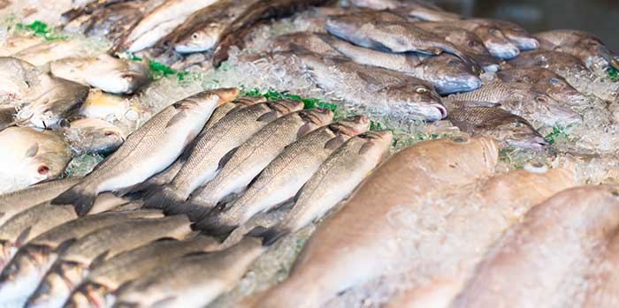 Fresh fish on ice in a commercial chilled display